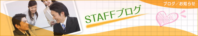 STAFFブログ